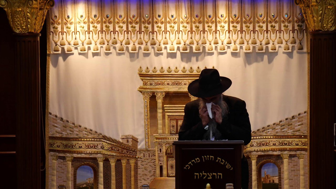 הרב מאיר דוד שמואלי שליט"א - שידור חי יום ב' - פרשת דברים תשפ"ו
