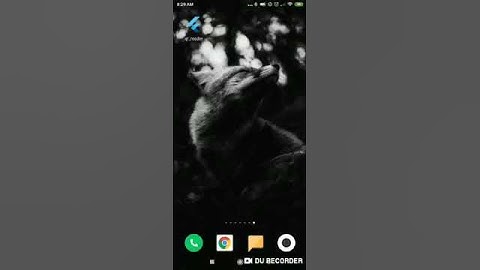 Flutter QR Code Scanner
