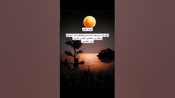 سورة الفجر #ماهر_المعيقلي #القرآن_الكريم