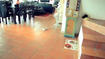 Gonzales - Beetleweight fighting robot