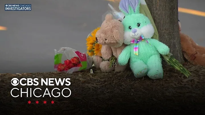 Investigation continues into deadly crash at Oswego Portillo's