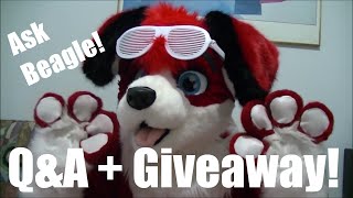 Ask Beagle! Q&A + Giveaway [CLOSED]