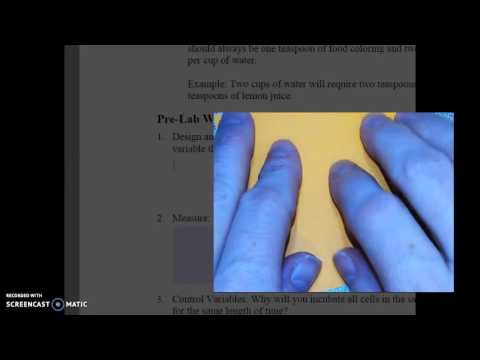 wca-biology:--effect-of-cell-size-on-material-transport-portfolio
