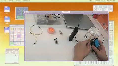 Explorer Hat Buggy & Turtle Racing