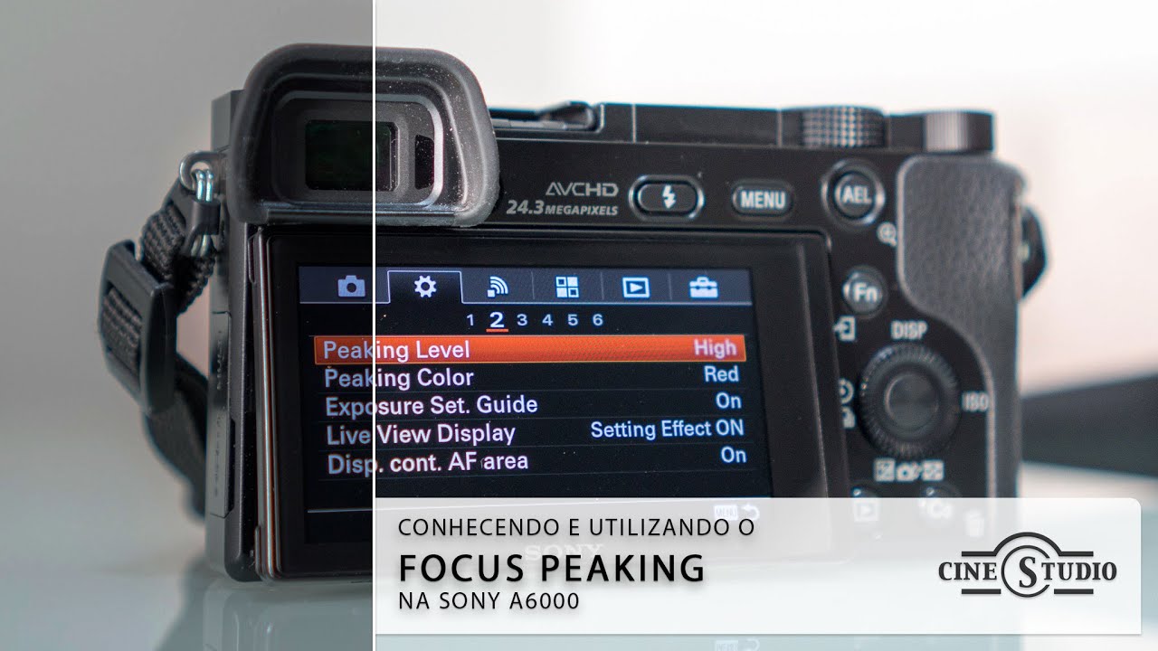 Фокус пикинг. Fujifilm x-s10 фокус пикинг. Focus peaking Canon. Sony фокус по точке.