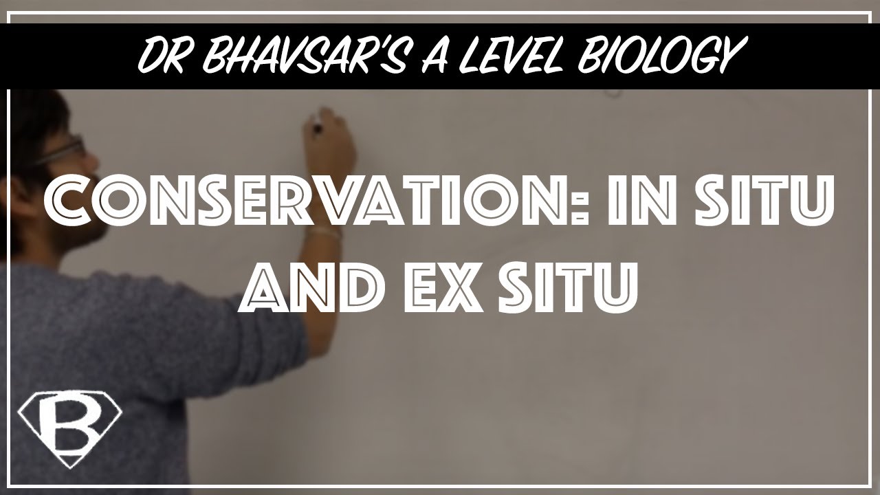 Conservation In Situ And Ex Situ Youtube