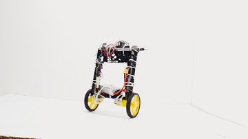 Self Balancing Robot