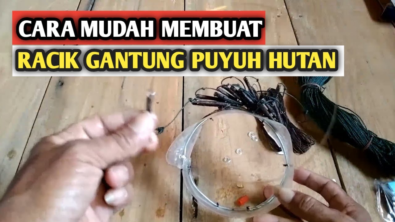 tutorial cara membuat jerat burung || puyuh hutan dan ruak ruak
