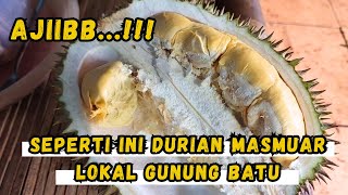 Hunting Durian Masmuar di Gunung Batu - Kabupaten Bogor