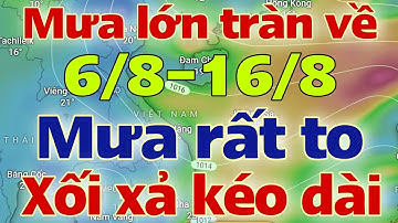 Dự báo thời tiết hôm nay và ngày mai 7/8/2025 | dự báo bão mới nhất | thời tiết 3 ngày tới