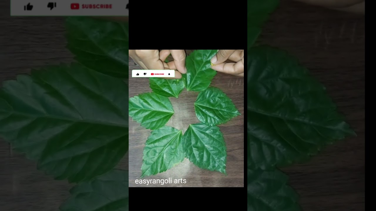 easyrangoli arts🌻🌿☘️ Flowers & Betel leaf rangoli | Eco friendly rangoli designs | leaf rangoli