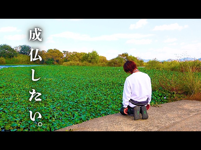 Final episode in 2025] A compilation of unreleased footage, huge