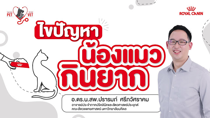 TAKE YOUR PET TO THE VET : EP08 ไขปัญหาน้องแมวกินยาก