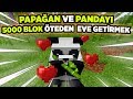 Panda Ve Papağan Evcilleştirmek İçin 5000 Blok Seyhat Etmek!