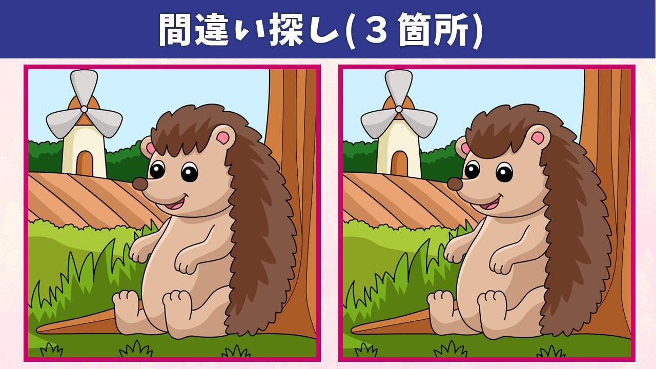 Найдите 3 отличия | Иллюстрация Версия 