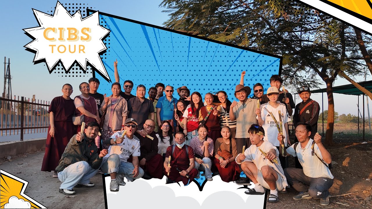 WHAT 30 PEOPLE THINK ABOUT CIBS TOUR 2026