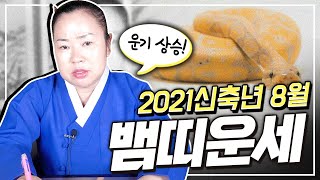 [충남용한무당 옥화보살] 2021신축년 8月 뱀띠 운세 | 띠별운세 나이별운세