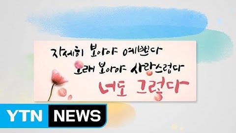 "자세히 봐야 예쁘다, 너도 그렇다"...가장 사랑받는 글귀 / YTN
