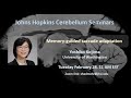 Yoshiko Kojima: Memory guided saccade adaptation