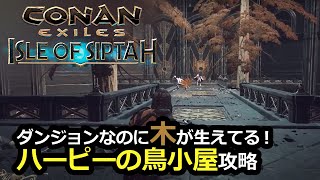 ダンジョンなのに木が生えてる ハーピーの鳥小屋攻略 Conan Exiles Isle Of Siptah 23 Youtube ダンジョンなのに木が生えてる ハーピーの鳥小屋攻略 Conan Exiles Isle Of Siptah 23 Youtube