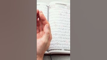 من أجمل ما قرأ القارئ أمين موسى. ج١٦٨