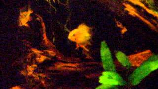 112L Sa 2011-05-19.Avi