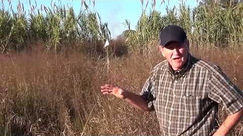 Keystone XL Hurts East Texas Landowners