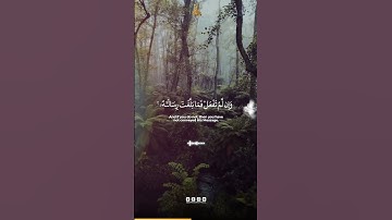 Surah Al Maidah Verse 67 | سورة المائدة الآية 67 | Abdun Nasir Khan