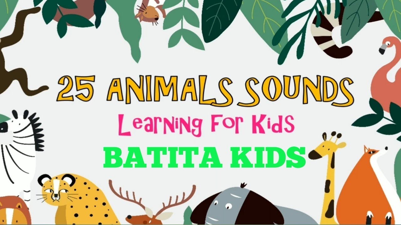 Animal sounds for kids | BATITA KIDS |Cat| Dog | Lion | Bird's | Tiger | learn animal sound for kids