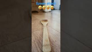 spoon attack