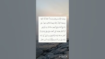 شورتز قرآن سورة الأحقاف المقطع السادس بصوت الشيخ سعد الغامدي