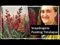 Impressionist Acrylic Floral Painting of Snapdragons Timelaspe Short
