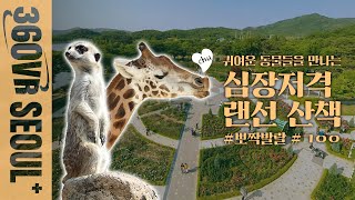 [360VR서울+] ※가로모드※ 하찮고 귀여워.. 🙈그래서 더 ㄱㅇㅇ!!🙉  랜선 ‘서울대공원’ 산책 🚶🏻 (🔉BGM : 사랑할 거야 – 예빛)