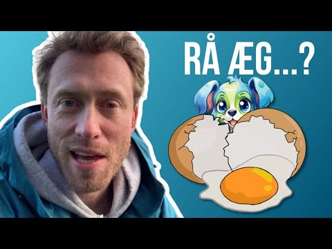 Video: Kan Hunde Spise æg? Er Rå æg Gode Til Hunde?
