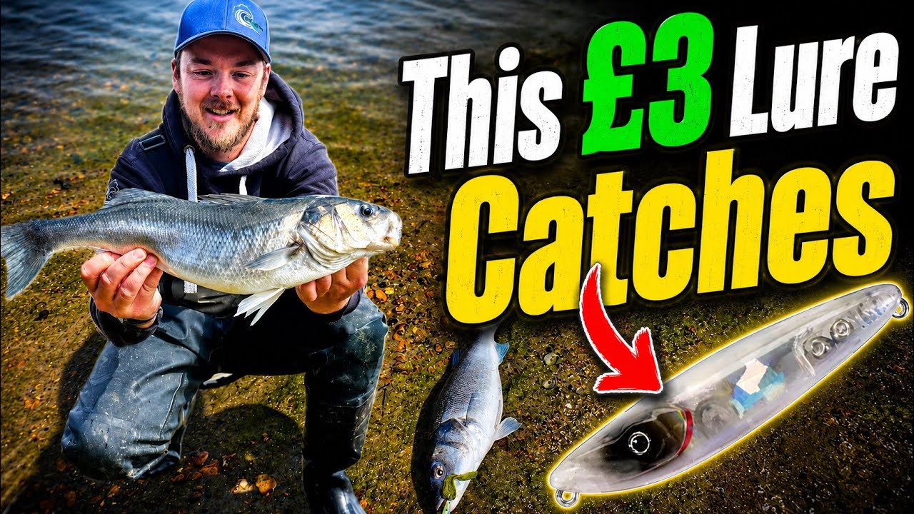 Lure Fishing For BASS Using CHEAP Topwater Lures In A Harbour