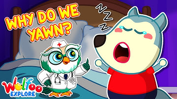 Why Do We Yawn? 😴 Why Is Yawning Contagious? 🔍 Wolfoo Explore - Human Body | Educational Cartoons