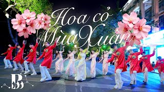 [NHẠC TẾT 2024 - PHỐ ĐI BỘ] HOA CỎ MÙA XUÂN - VÕ HẠ TRÂM Dance Cover By B-Wild | Dancing In Public