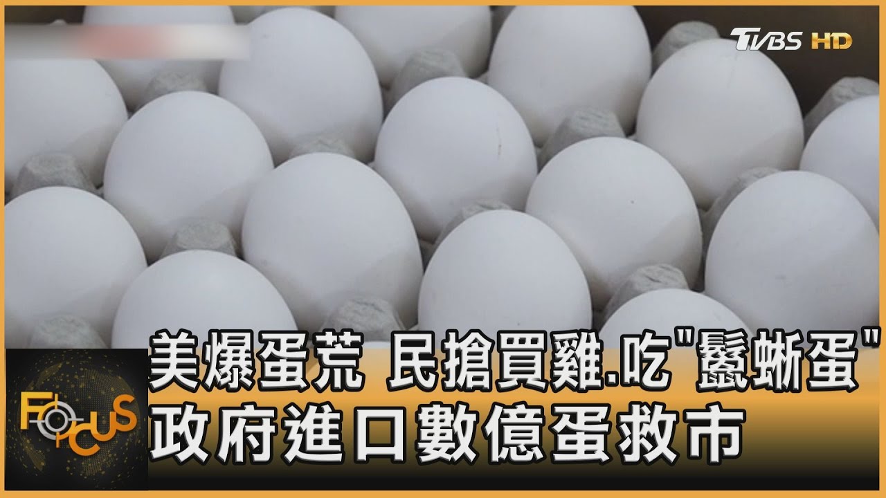 美爆蛋荒 民搶買雞.吃「鬣蜥蛋」 政府進口數億蛋救市｜方念華｜FOCUS全球新聞20250325@tvbsfocus