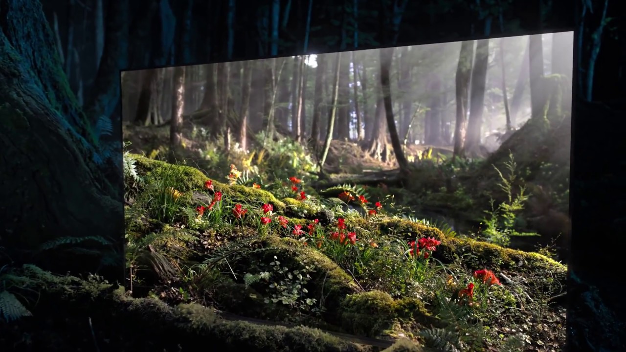 Sony Bravia OLED TV   Window into Daytime Commercial 2018