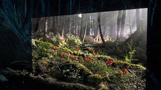 Sony Bravia OLED TV - Window into Daytime Commercial 2018