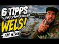 Spinnfischen am Neckar Wehr – 6 Tipps nach 3 Tagen Abendangeln (Erfolge & Fehler)