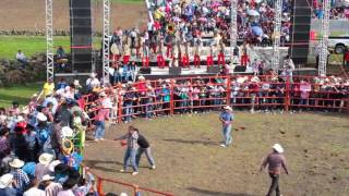 El Son Del Muerto - Banda Constelación De Santa Rita Mich -Jaripeos,Fietas San Vicente La Noria 2015