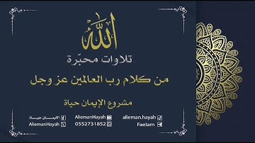 تلاوة سورة عبس للقارئ الشيخ أحمد النفيس