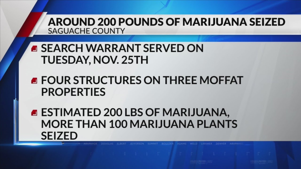 200 pounds of marijuana, over 100 plants seized from 3 Moffat ...