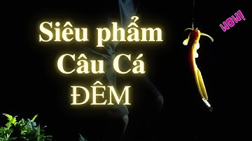 Câu Cá Nheo Suối Trong Đêm | Night Fishing In Stream