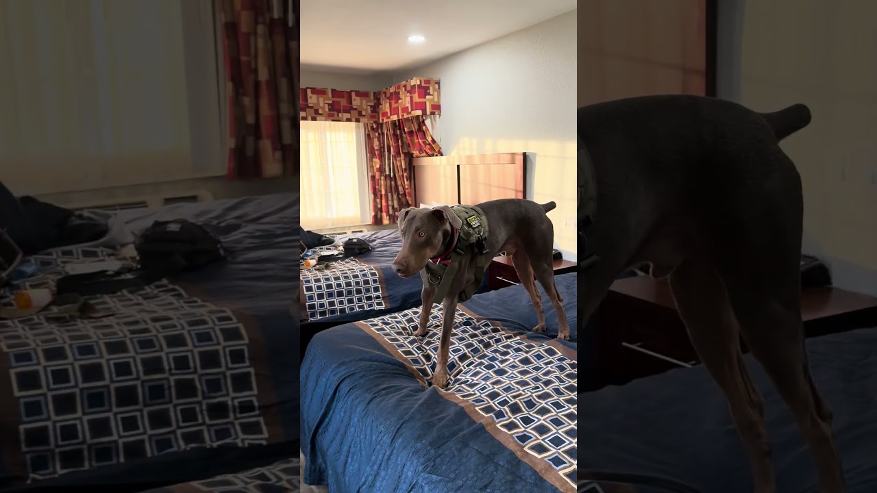 Новое место