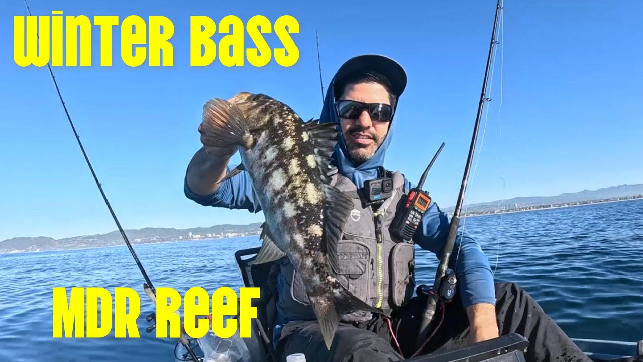 Winter Bass Fishing-  MDR Artificial Reef