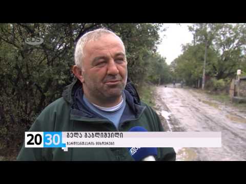 კიდევ ერთი გამშვები პუნქტი ე.წ სამხრეთ ოსეთში/2030 (13.10.2015.)/