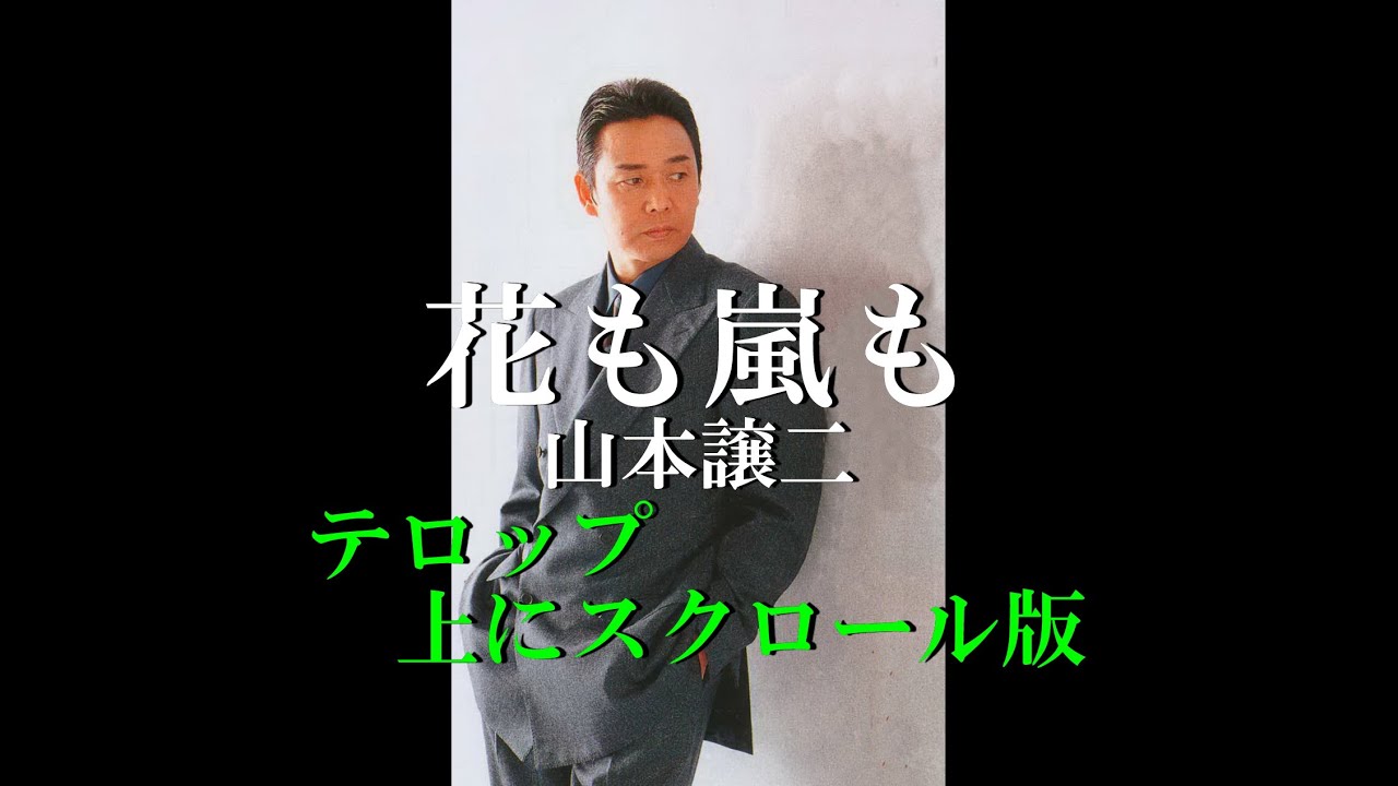 花も嵐も 山本譲二 弦哲也のワンポイントレッスン おまけ付き 花も嵐も 山本譲二 弦哲也のワンポイントレッスン おまけ付き CD