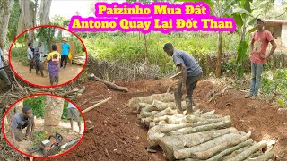 Tập 153:Antonio quay lại nghề đốt than||Paizinho có mua được đất không?||2Q Vlogs Cuộc Sống Châu Phi